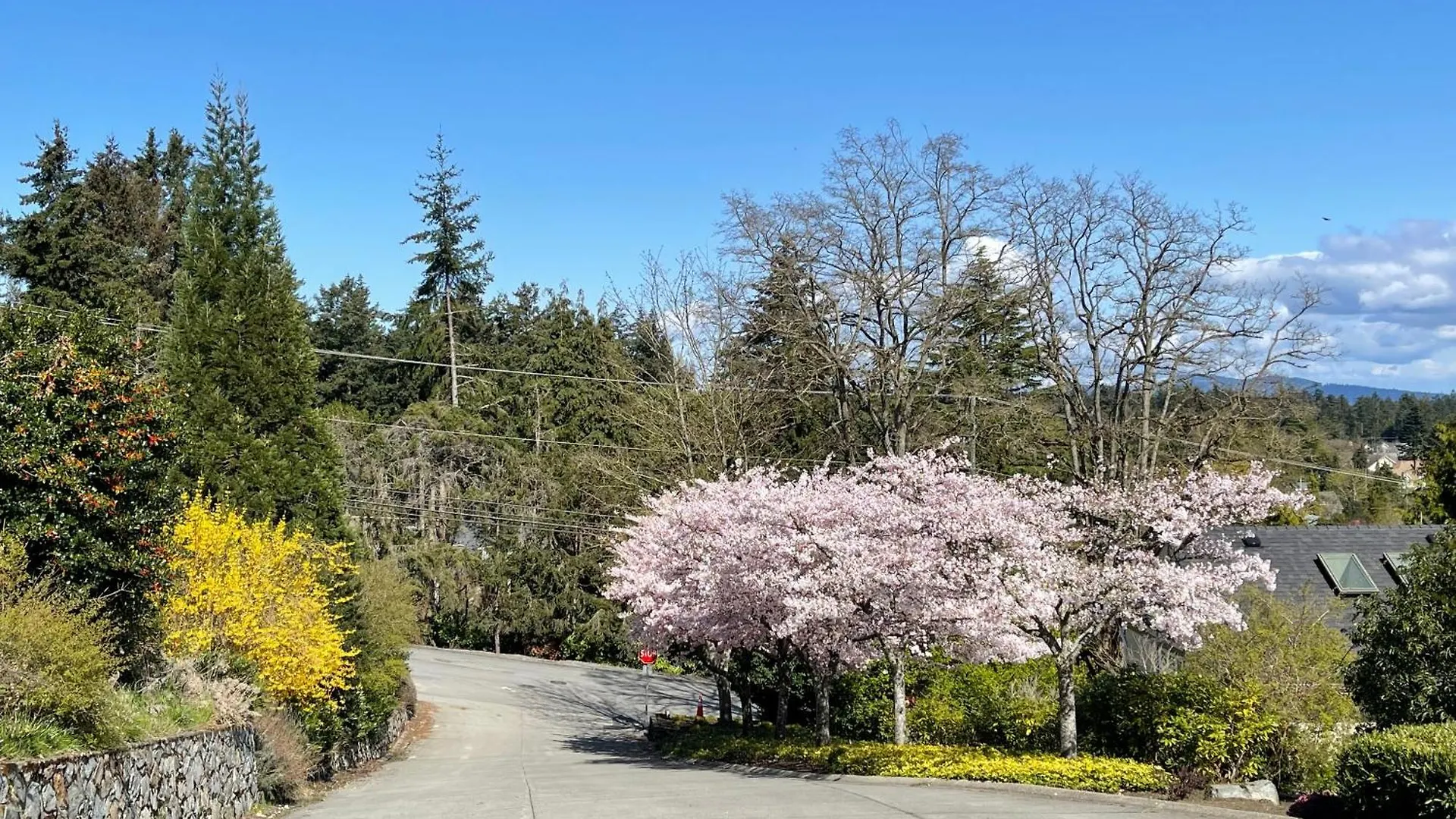 Homestay Uvic Ocean Peak House Apartment Victoria Canada