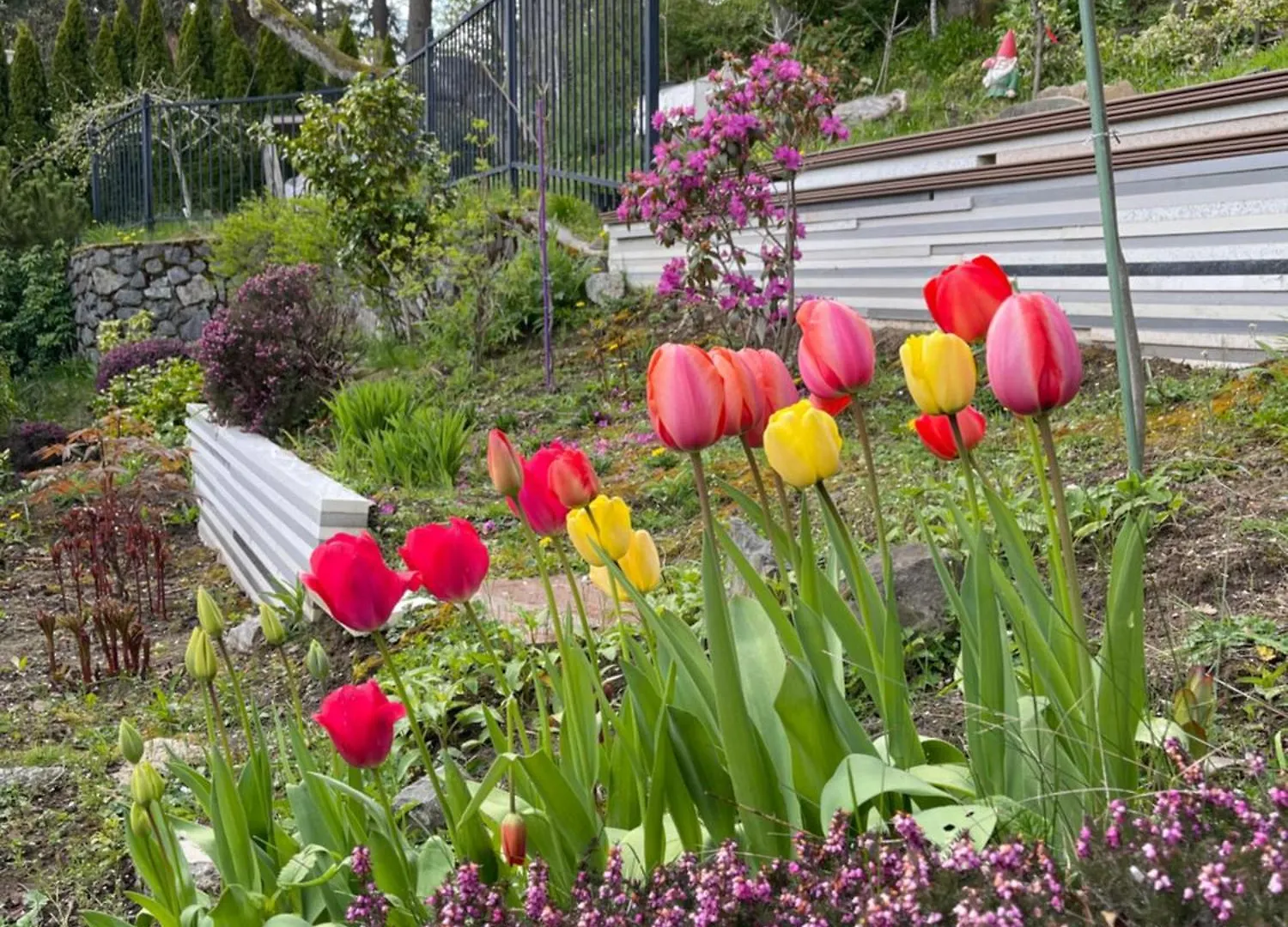 Uvic Ocean Peak House Apartment Victoria Homestay