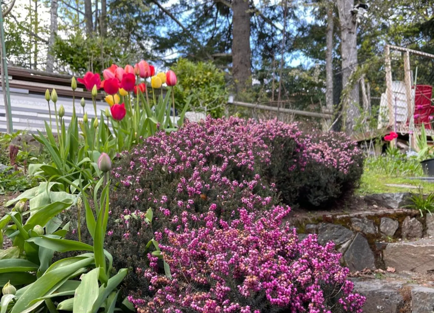 Homestay Uvic Ocean Peak House Apartment Victoria Canada