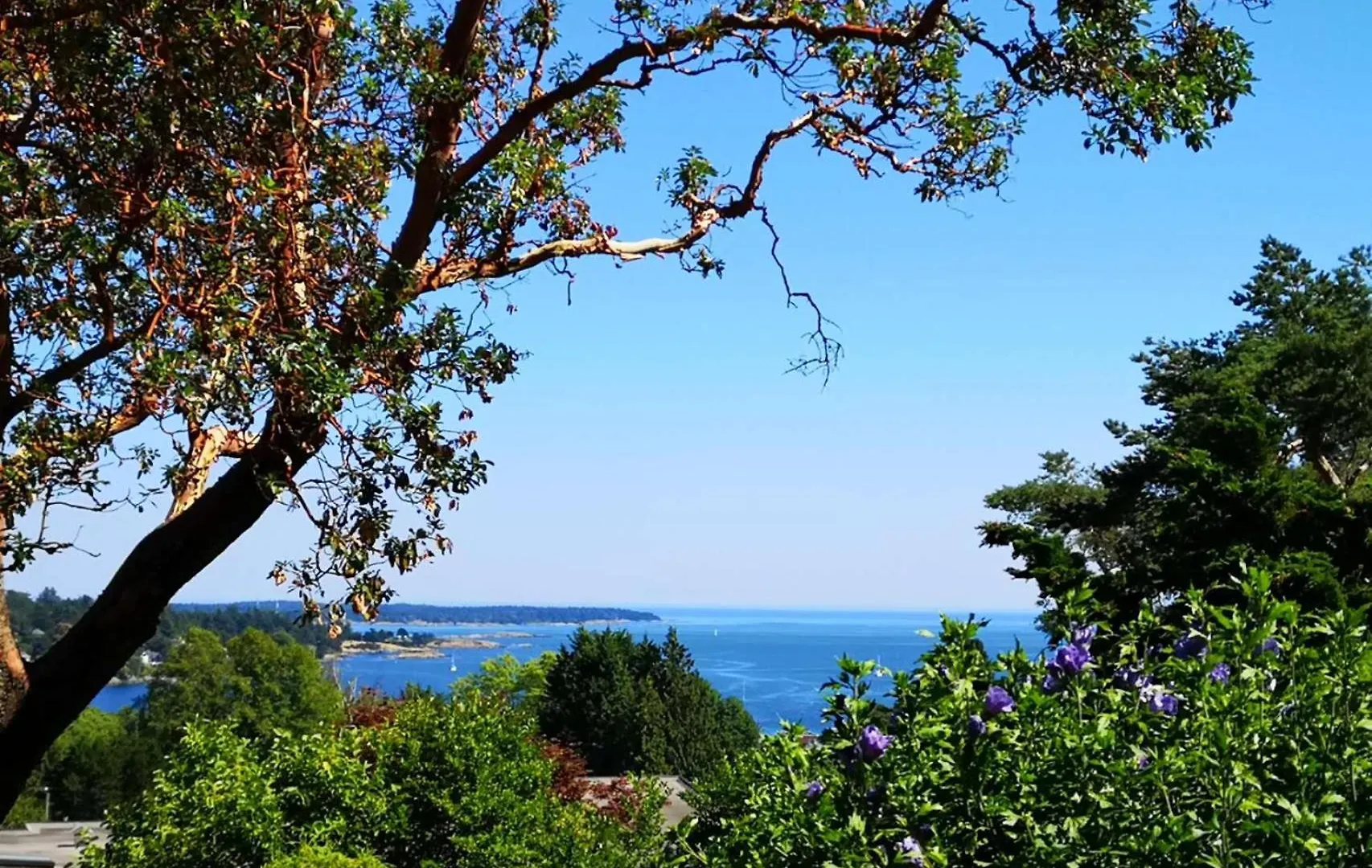 Appartamento Uvic Ocean Peak House Victoria Alloggio in famiglia